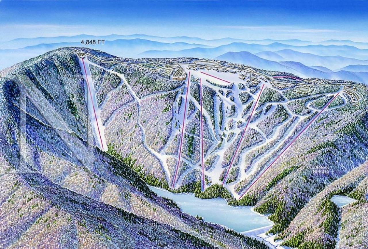 סנואושו Stroll To Slopes, Village Area, Ski In-Out Mtlodge 151 מראה חיצוני תמונה